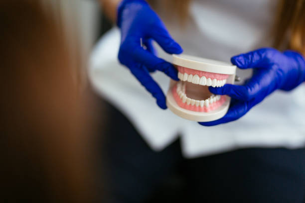 Professional Holistic Dental Care Services in Travilah, MD